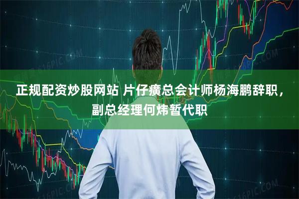 正规配资炒股网站 片仔癀总会计师杨海鹏辞职，副总经理何炜暂代职